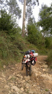 CAMINO DE SANTIAGO 259
